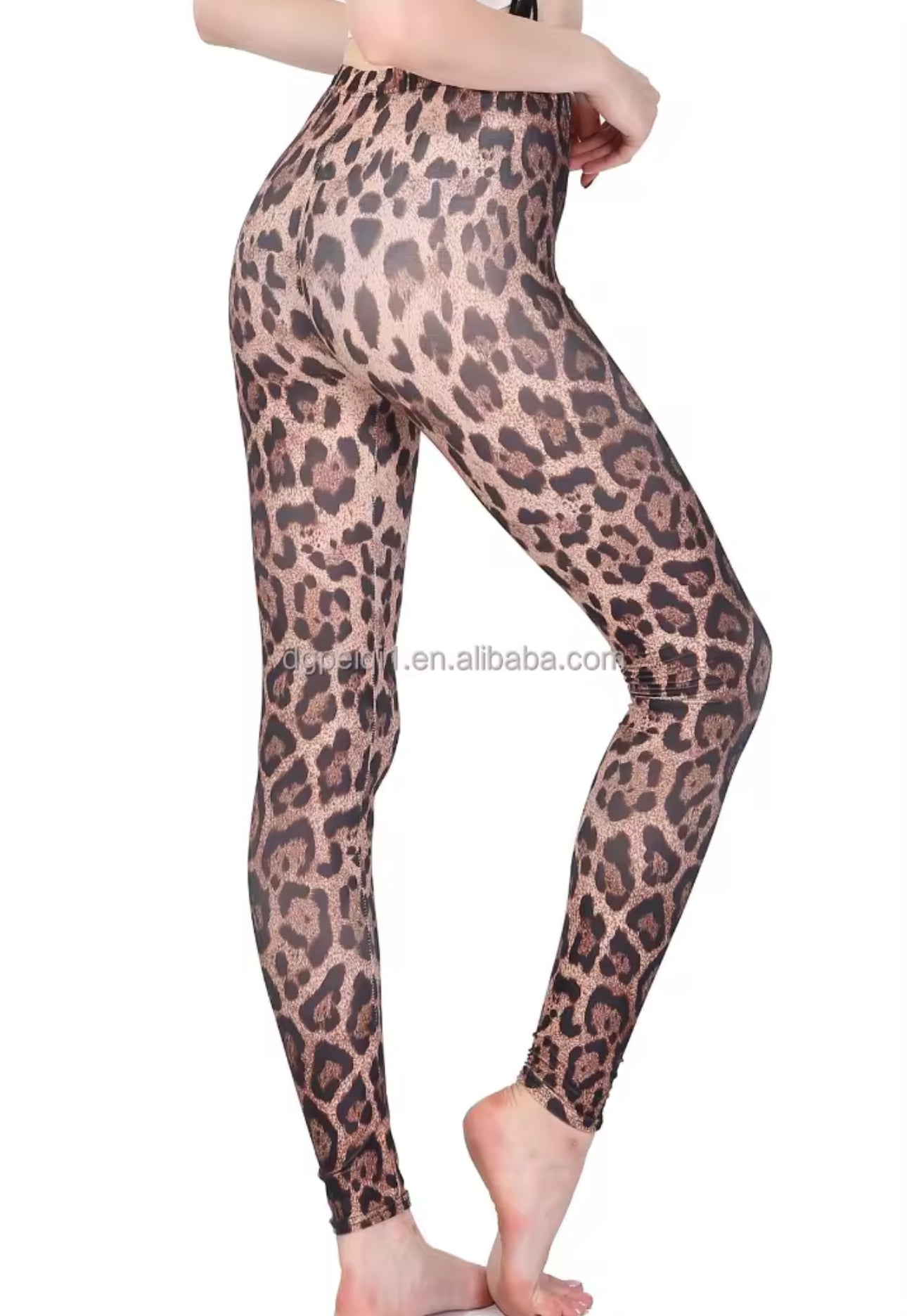 Cheetah Bow Set