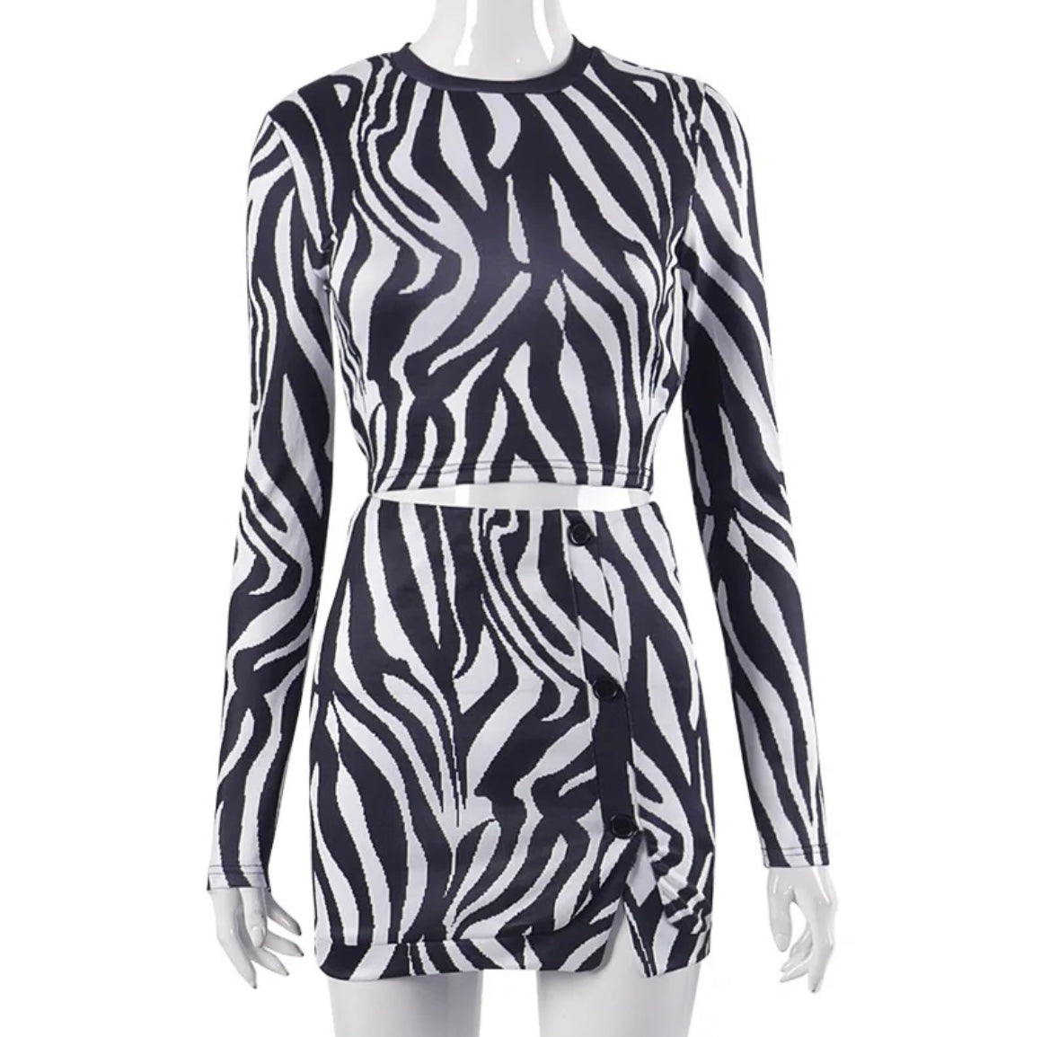 Zebra two piece